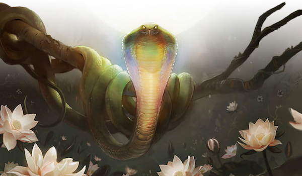 lotus cobra art crop